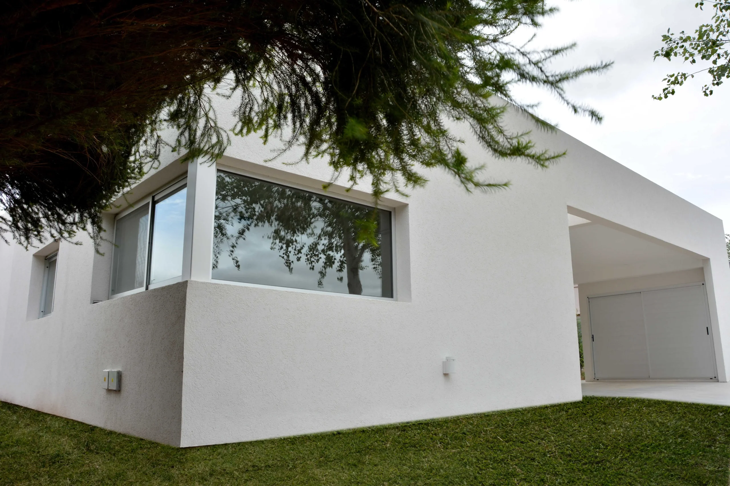 DSC_2039 copia